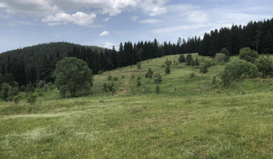 Kastamonu Valiliği Ormanlara Giriş-Çıkışı Yasakladı