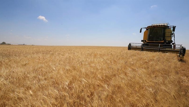 Hububat Alım Fiyatları Açıklandı