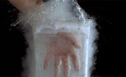 Ananas Kabuğunun Ateşe Dayanıklılığı