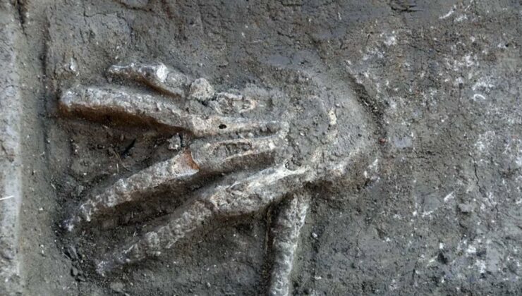 Antik Mısırda Neden Sağ Eller Ayrı Olarak Gömülür?