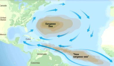 Sargasso Denizi’nin Değişen Sınırları: Bir Gizem