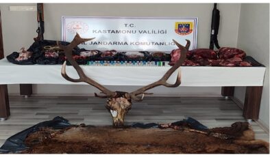 Kastamonu’da Kaçak Avlanan 36 Kg Geyik Eti Yakalandı