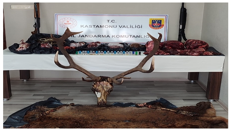 Kastamonu’da Kaçak Avlanan 36 Kg Geyik Eti Yakalandı