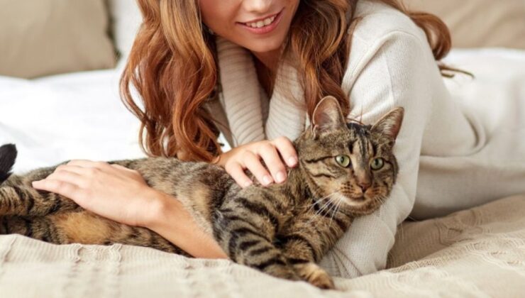 Kedi Sahiplenmenin Psikolojik Avantajları: Bilimsel Bir Bakış