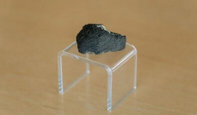 1929’da Bir Çekmecede Bulunan, Mars’taki Suyun Antik İzlerine Sahip Meteor