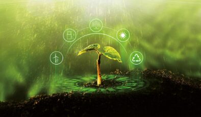 Sürdürülebilir Tarım Nedir? İşte Tarım Biliminde Yenilikler